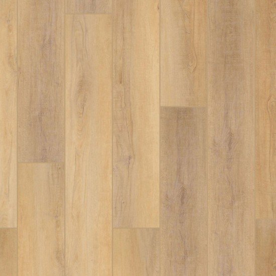 COREtec Pro Plus XL Enhanced HD - Canterbury Elm COREtec Pro Plus XL Enhanced HD - Canterbury Elm